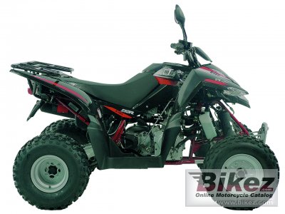 2011 Triton Baja 250 photo